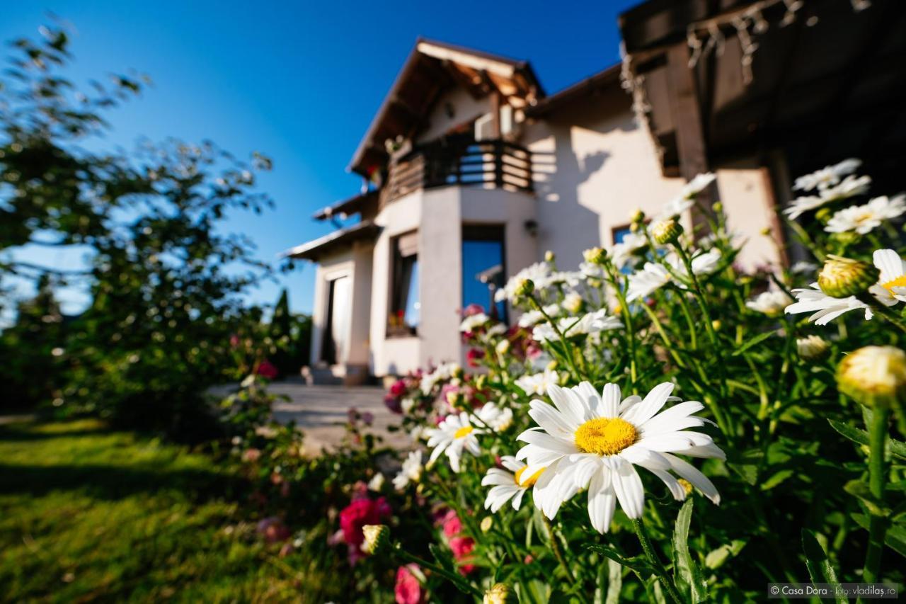 Hotel Casa Dora Suceava Exterior foto
