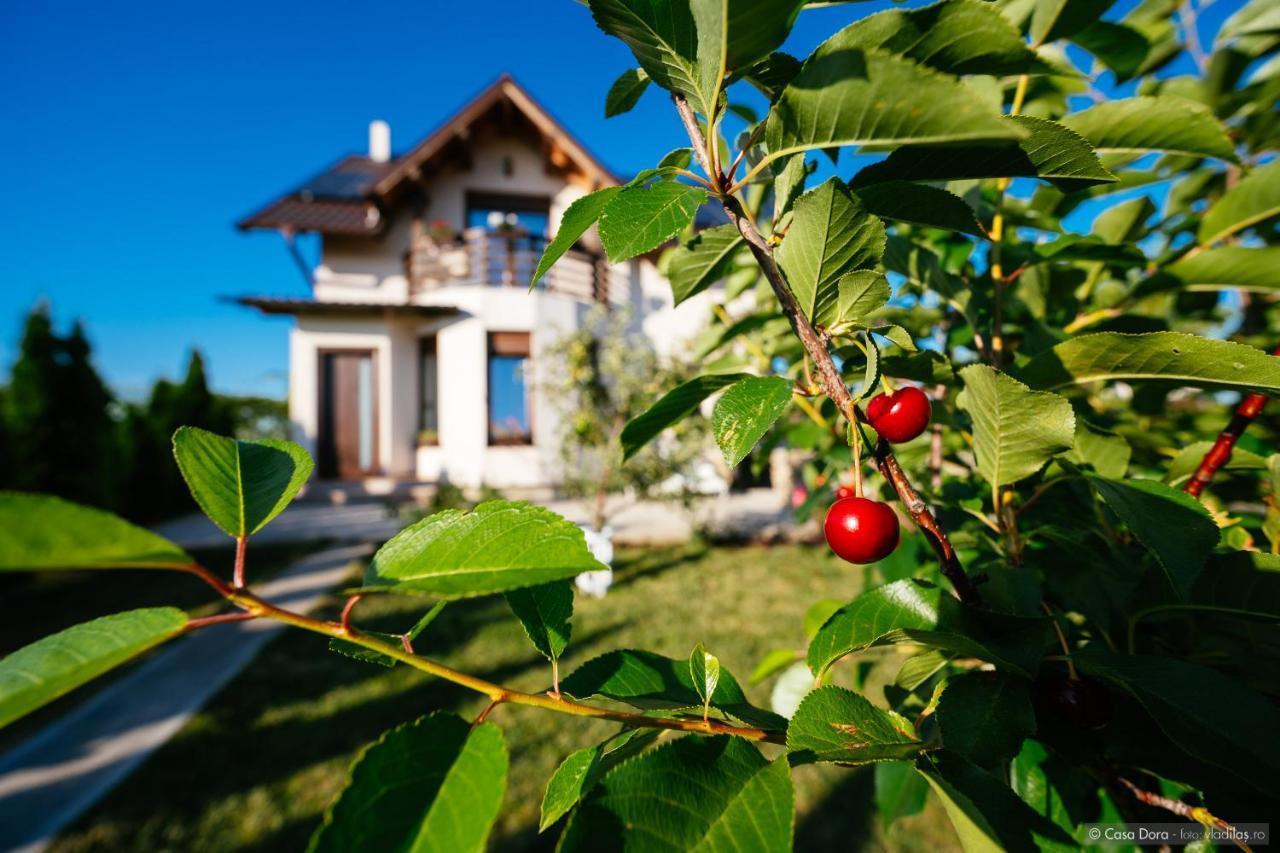 Hotel Casa Dora Suceava Exterior foto